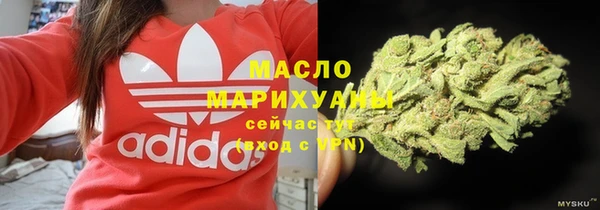 гидра Абаза