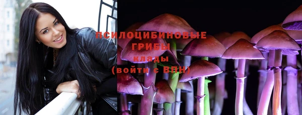 гидра Абаза