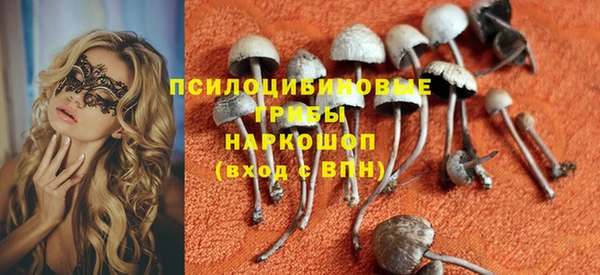 ECSTASY Алзамай