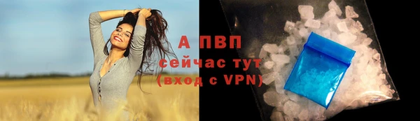 сатива Абинск