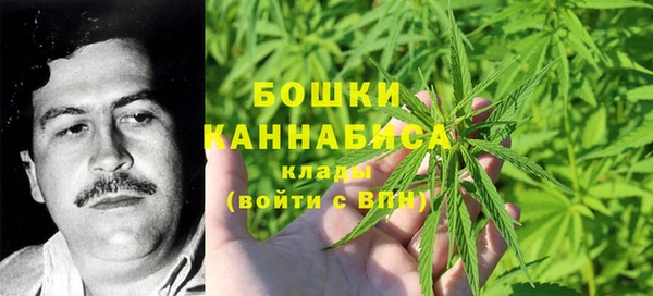 сатива Абинск