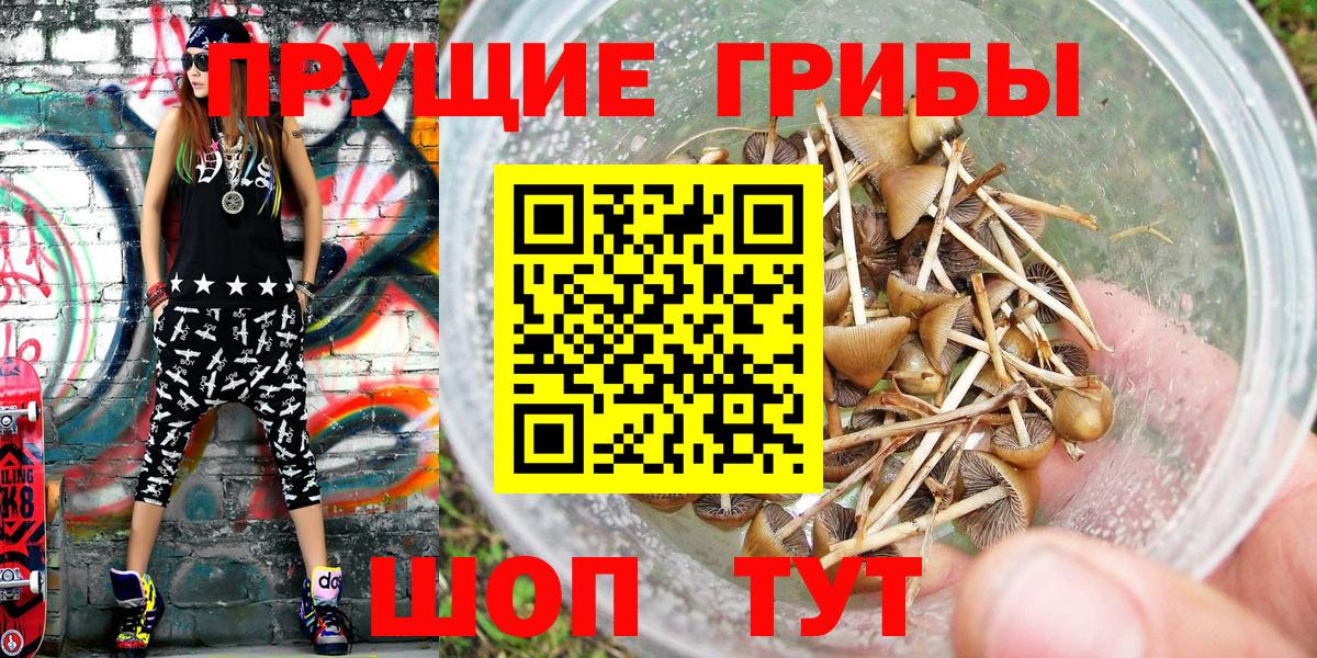 Галлюциногенные грибы GOLDEN TEACHER  Вход с VPN  Добрянка  Псилоцибиновые грибы Cubensis 